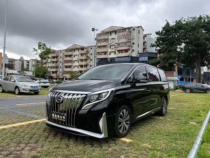 Trumpchi M8 2018 320 T — фото 3