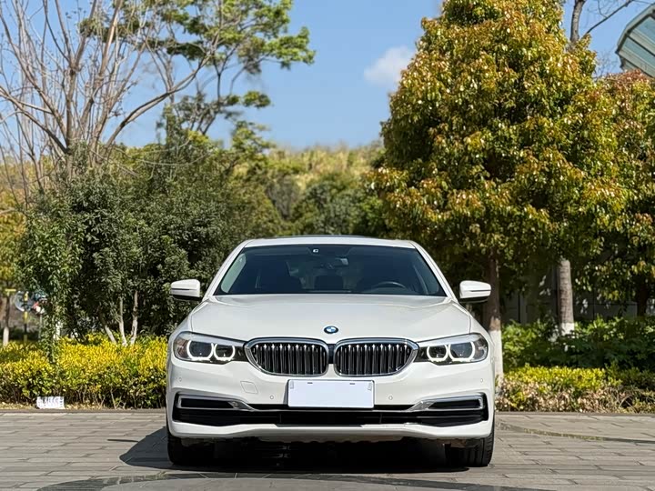 BMW 5-Series 2019 530 Li Leading — фото 2