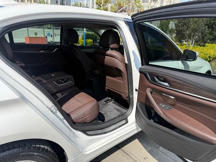 BMW 5-Series 2019 530 Li Leading — фото 41
