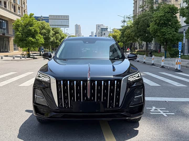 Hongqi HS5 2023 2.0 T Pro — фото 2