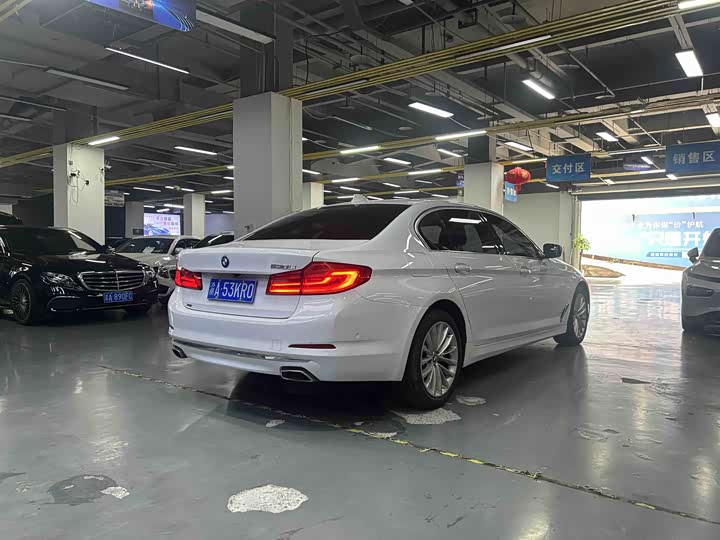 BMW 5-Series 2019 530 Li x Drive — фото 13