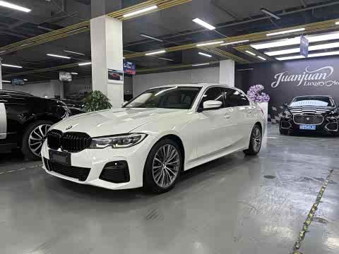 BMW 3-Series 2020 325 Li — фото 13