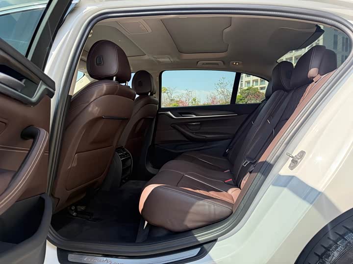 BMW 5-Series 2019 530 Li Leading — фото 6