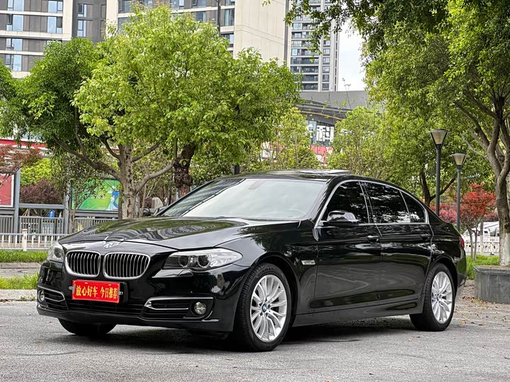 BMW 5 Series 525Li — фото 3