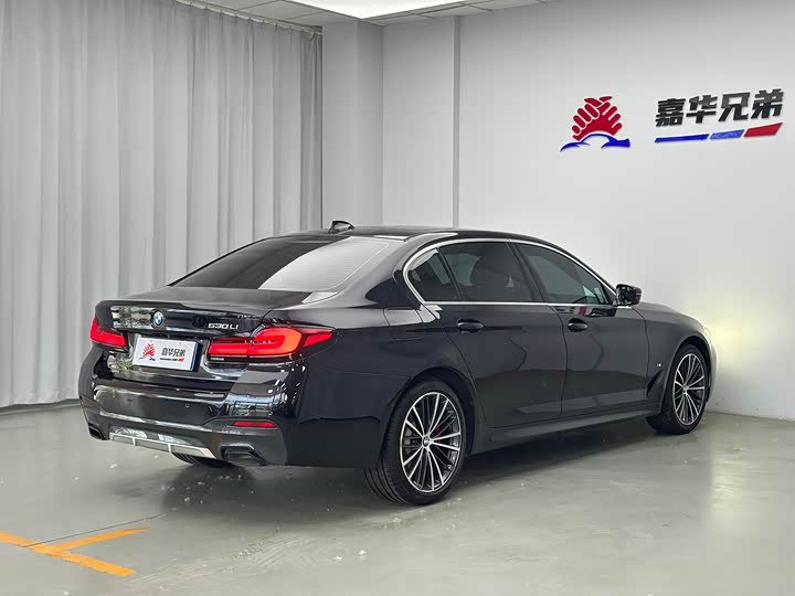 BMW 5-Series 2022 530 Li x Drive M — фото 9