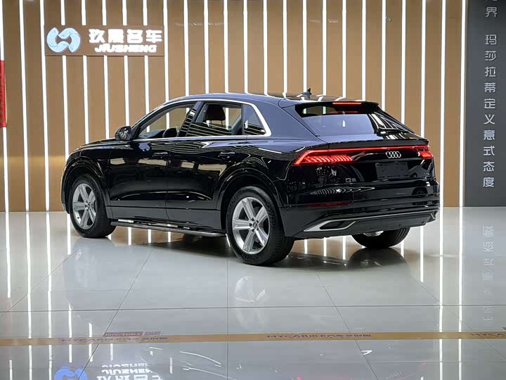 Audi Q8 2019 45 TFSI — фото 19