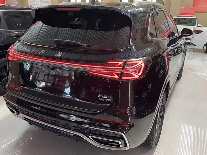 Hongqi HS5 2023 2.0 T Pro — фото 14