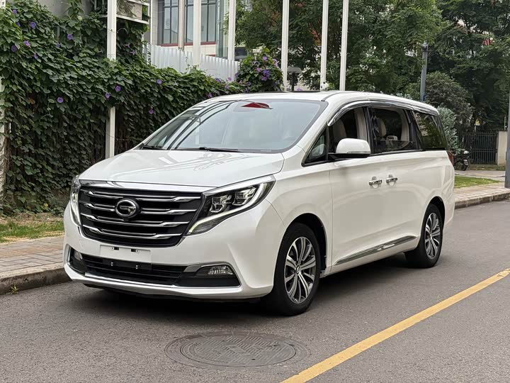 Trumpchi M8 2020 390 T — фото 1