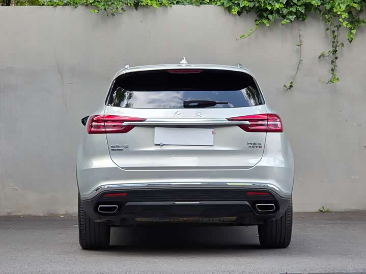 Hongqi HS5 2019 2.0 T 4 WD — фото 8