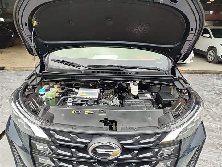 Trumpchi M6 2023 PRO 270 T DCT — фото 20