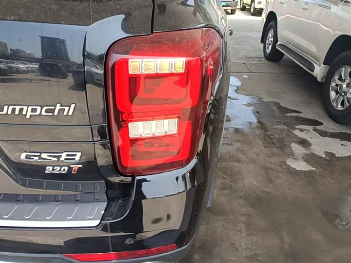 Trumpchi GS8 2017 320 T 2 WD ( ) — фото 8