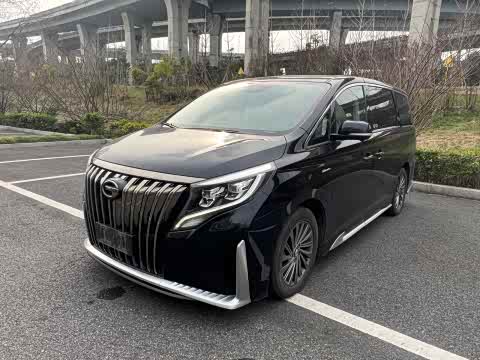 Trumpchi M8 2021 390 T — фото 13