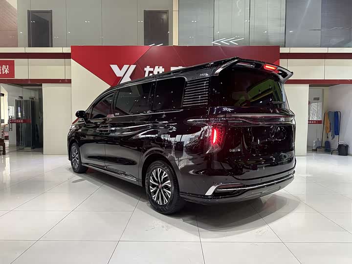 Hongqi HQ9 PHEV 2024 2.0 T 4 WD — фото 4
