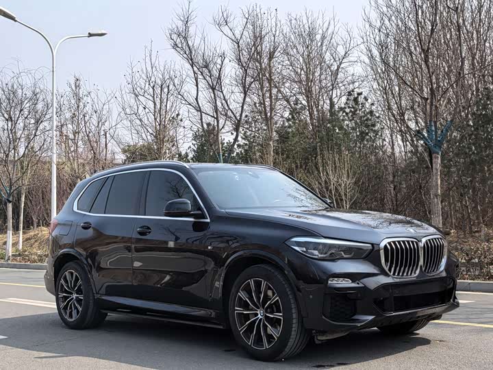 BMW X5 2020 x Drive 30i M — фото 3