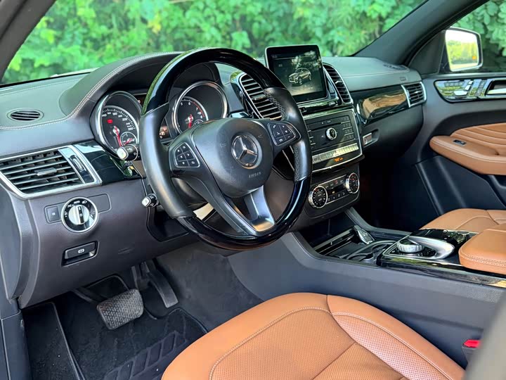 Mercedes-Benz GLE 2017 GLE 500 4 MATIC SUV — фото 13