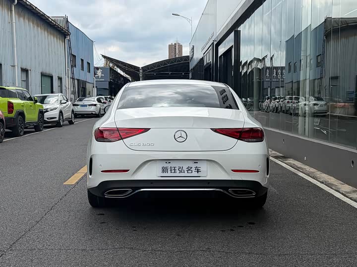 Mercedes-Benz CLS 2021 CLS 300 — фото 4