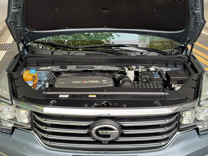 Trumpchi GS8 2017 320 T 2 WD ( ) — фото 25