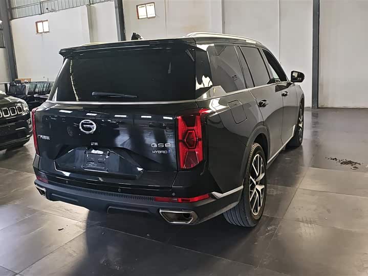 Trumpchi GS8 2022 2.0 TM 2 WD ( ) — фото 3