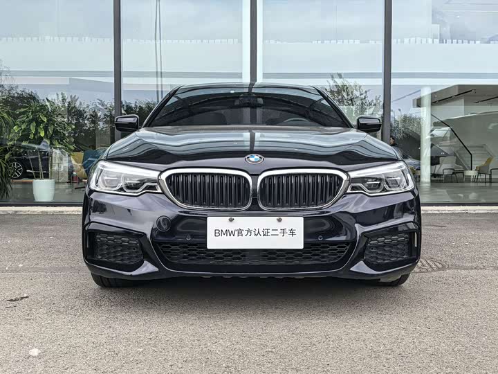 BMW 5-Series 2020 530 Li Leading M — фото 2