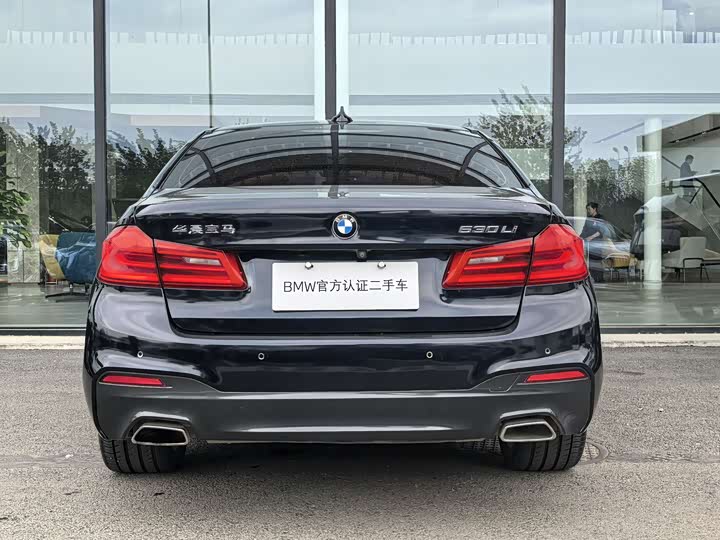 BMW 5-Series 2020 530 Li Leading M — фото 6