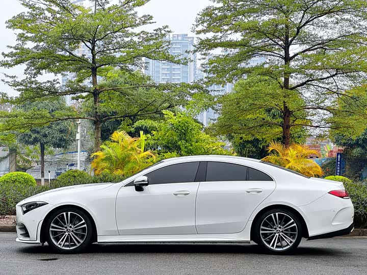 Mercedes-Benz CLS 2021 CLS 300 — фото 4