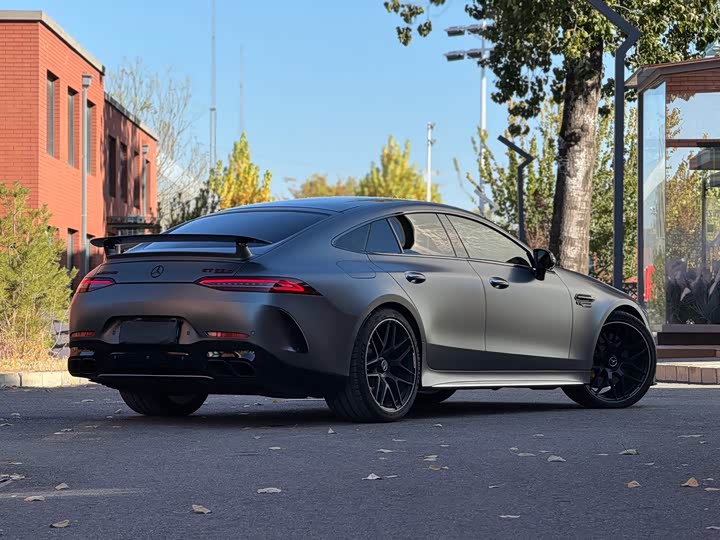 Mercedes-Benz AMG 2019 AMG GT 63 S 4 MATIC+ — фото 21