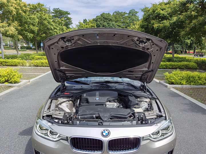 BMW 3 Series 320Li базовая — фото 12