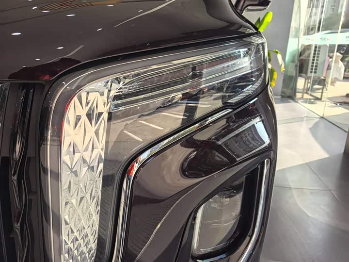 Hongqi HQ9 PHEV 2024 2.0 T 4 WD — фото 7