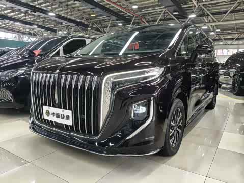 Hongqi HQ9 PHEV 2024 2.0 T 4 WD — фото 11