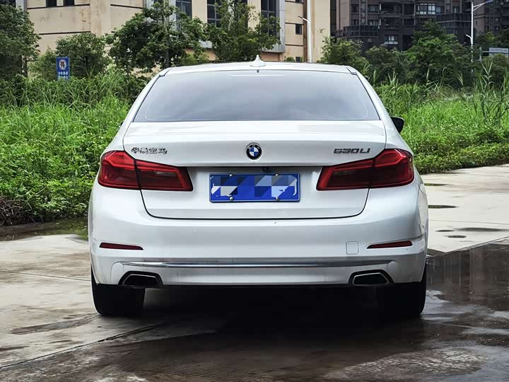 BMW 5-Series 2018 530 Li Leading — фото 4