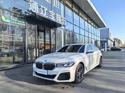 BMW 5-Series 2021 525 Li M — фото 10