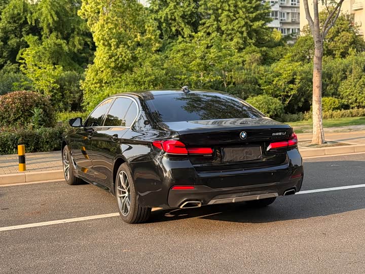 BMW 5 Series 525Li люкс-пакет — фото 11