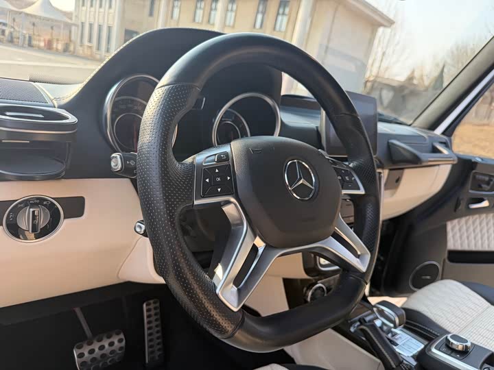 Mercedes-Benz G-Class 2016 AMG G 63 Edition 463 — фото 12