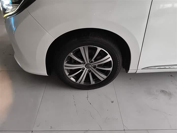 Trumpchi M8 2018 320 T — фото 23