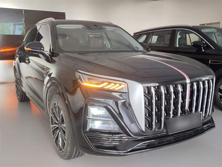 Hongqi HS5 2023 2.0 T 4 WD Pro — фото 22