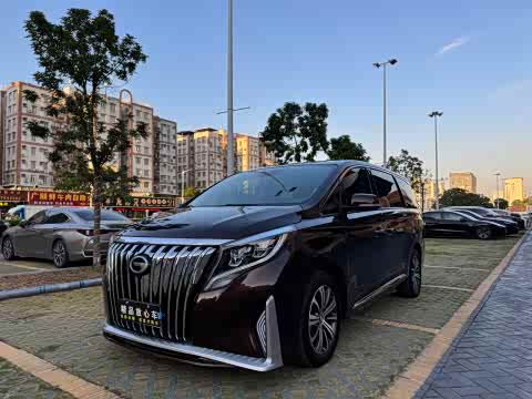 Trumpchi M8 2018 320 T — фото 21