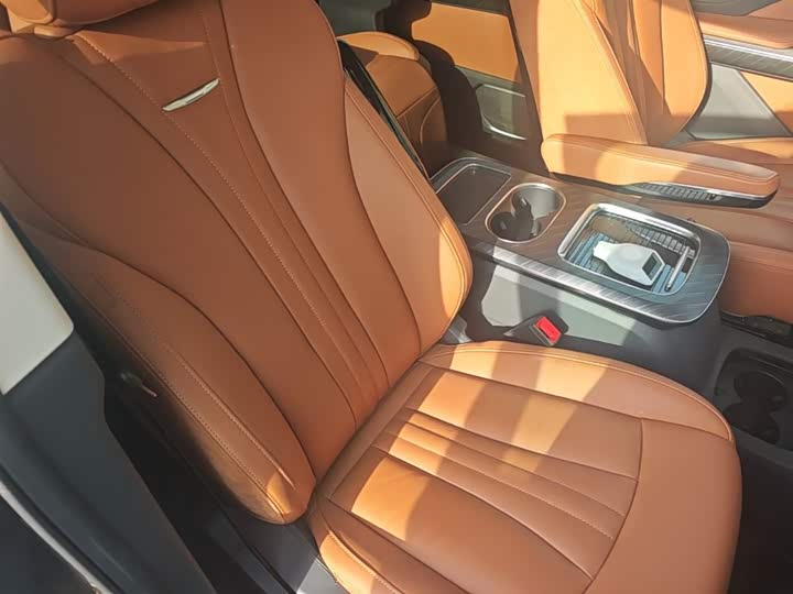 Hongqi HQ9 PHEV 2024 2.0 T 4 WD — фото 25