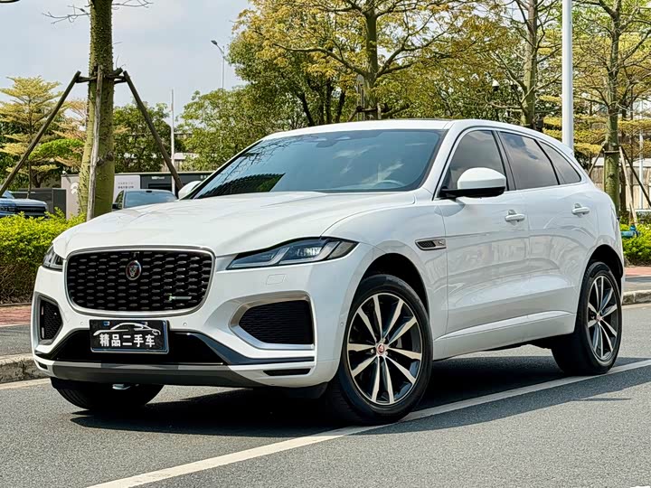 Jaguar F-PACE 2021 250 PS R-Dynamic S — фото 1