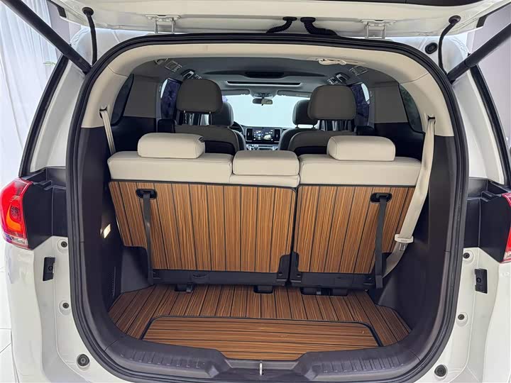 Trumpchi M8 2023 390 T — фото 15