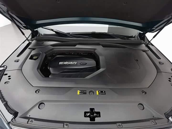Trumpchi GS8 2022 2.0 TGDI 2 WD ( ) — фото 6
