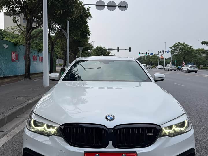 BMW 5-Series 2019 530 Li Leading M — фото 1