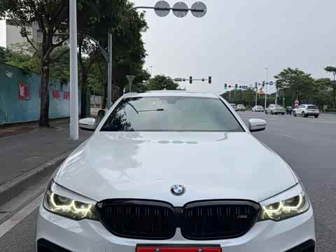 BMW 5-Series 2019 530 Li Leading M — фото 10