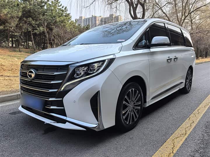 Trumpchi M8 2021 390 T — фото 1