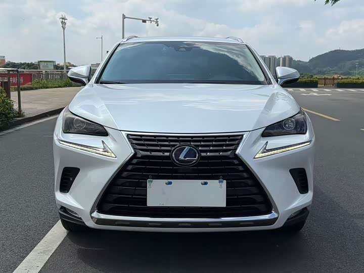Lexus NX 2020 300h V — фото 2