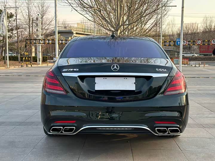 Mercedes-Benz S-Class 2014 AMG S 65 L — фото 4