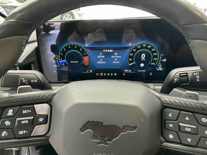 Ford Mustang 2024 5.0 L V 8 Dark Horse — фото 11