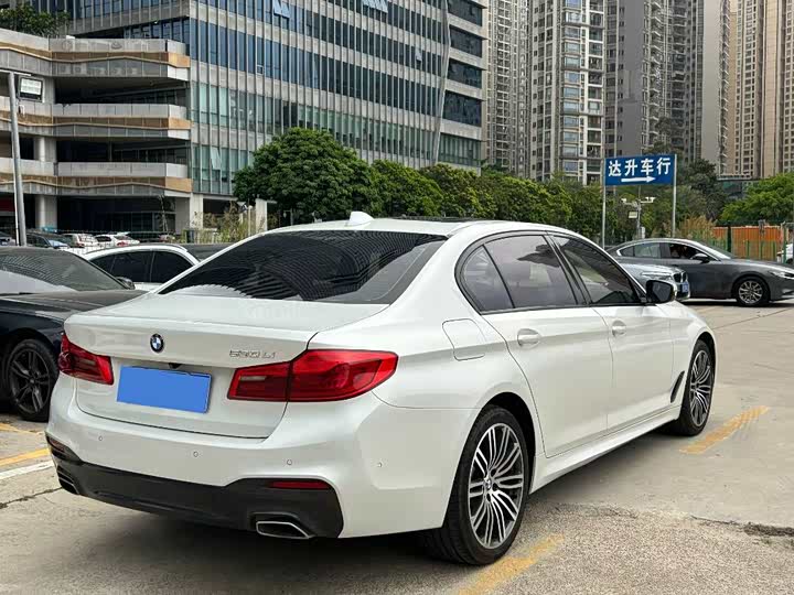 BMW 5-Series 2019 530 Li Leading M — фото 5