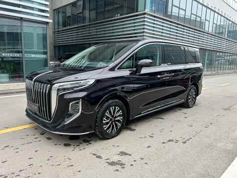 Hongqi HQ9 PHEV 2024 2.0 T 4 WD — фото 18