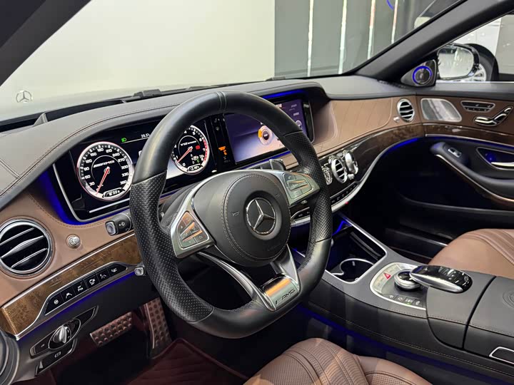 Mercedes-Benz S-Class 2014 AMG S 65 L — фото 7