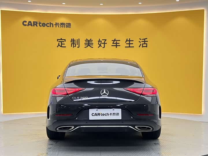 Mercedes-Benz CLS 2021 CLS 300 Luxury — фото 35